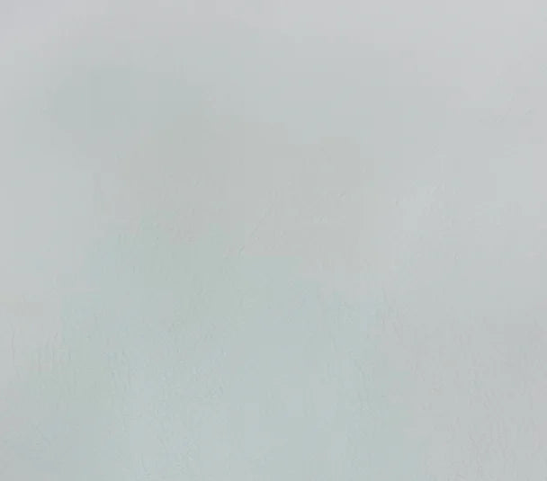 Challenger